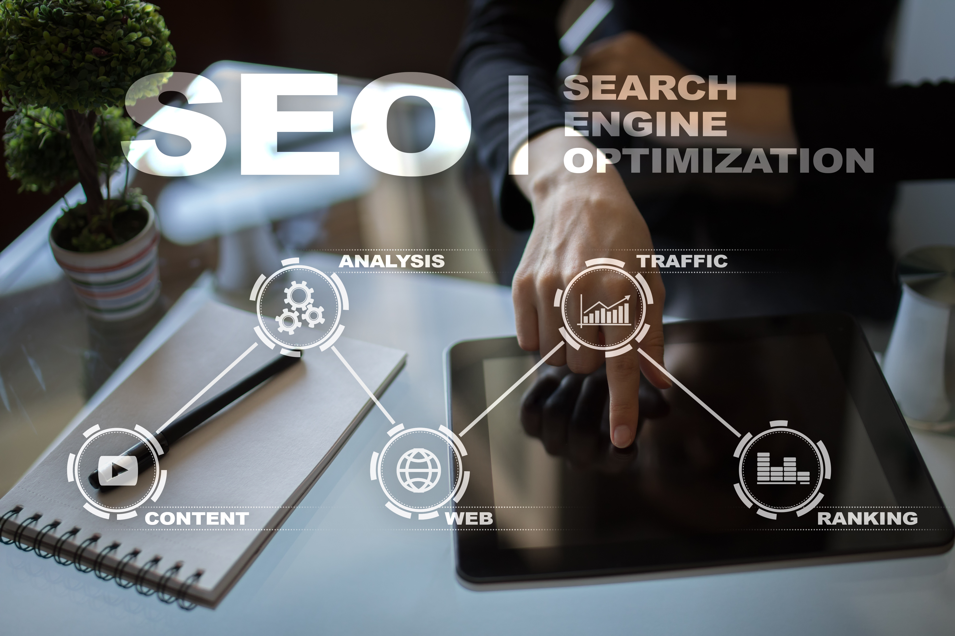 Pro SEO Services