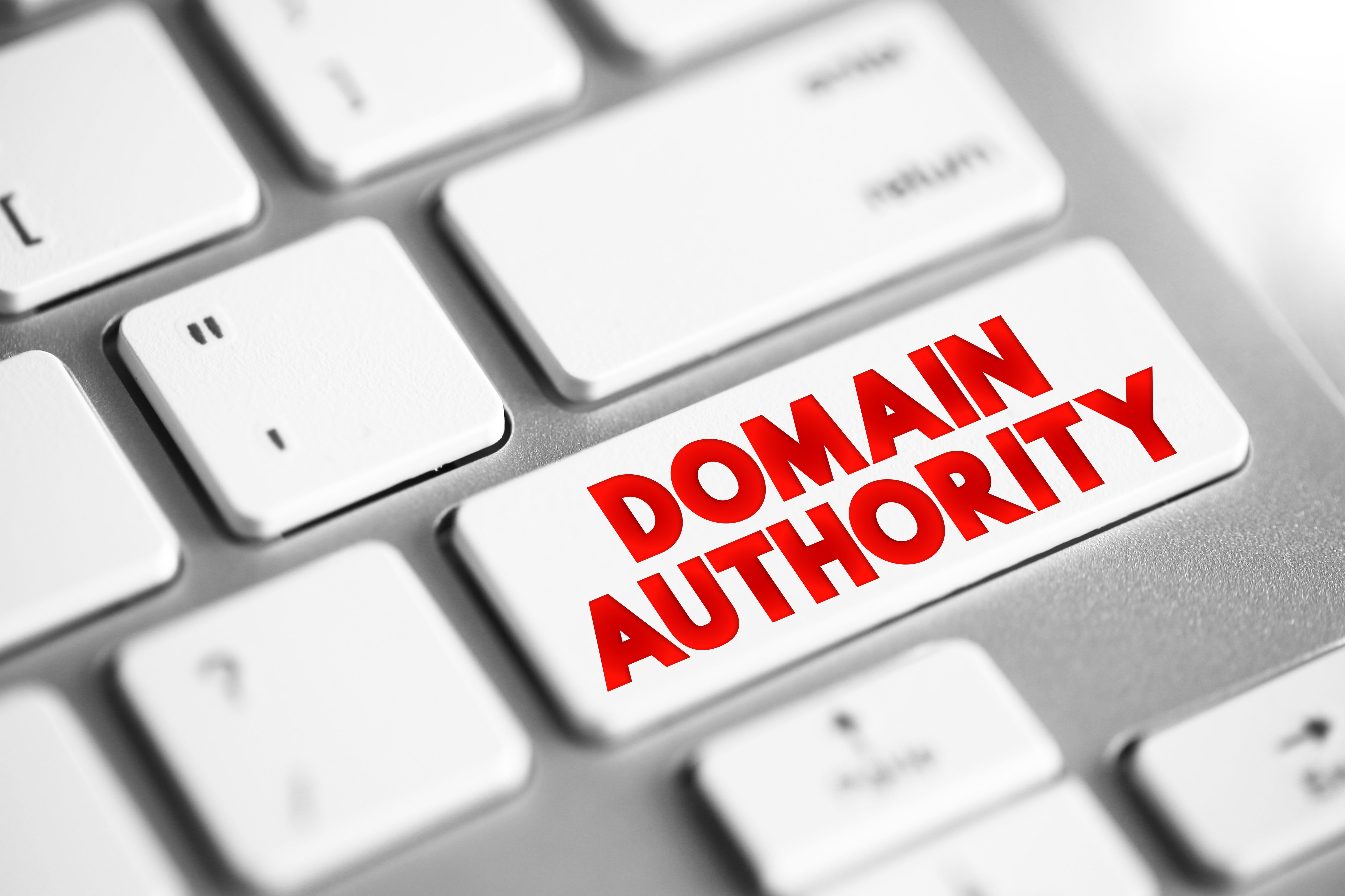 Domain Authority and Rank Services